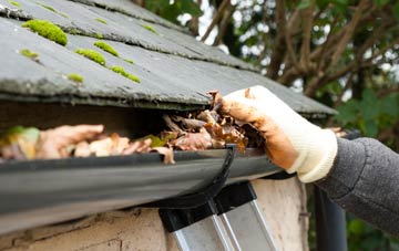 gutter cleaning Royston